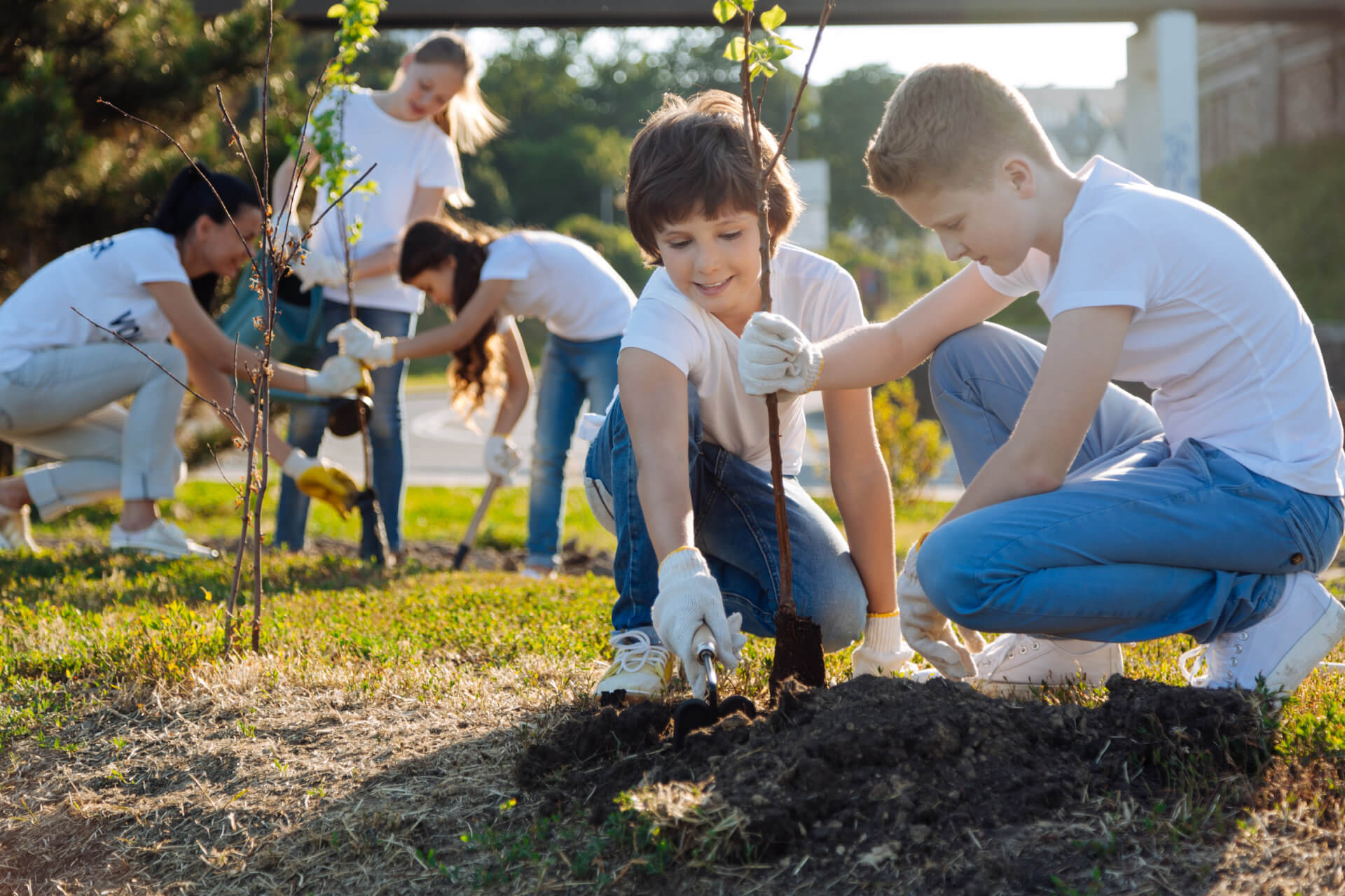schoolchildren-planting-young-fruit-trees