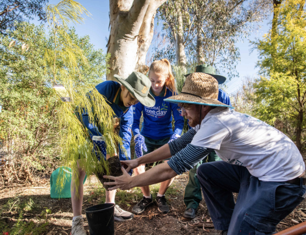 Curious Climate Schools